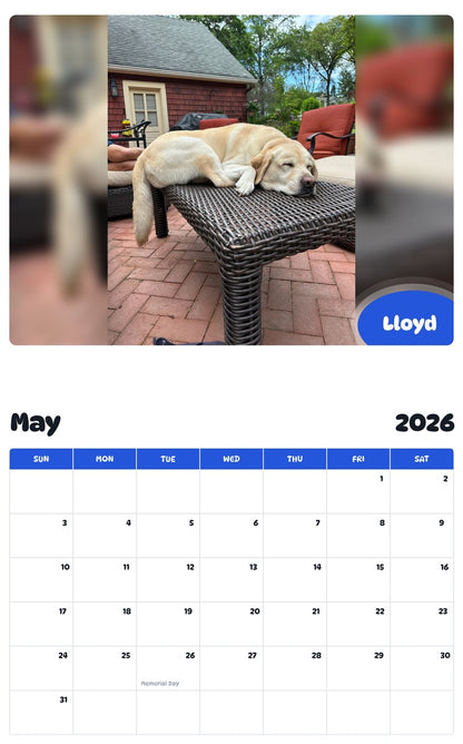 2026 - 2027 Lloyd - Pawidols Pet Calendar