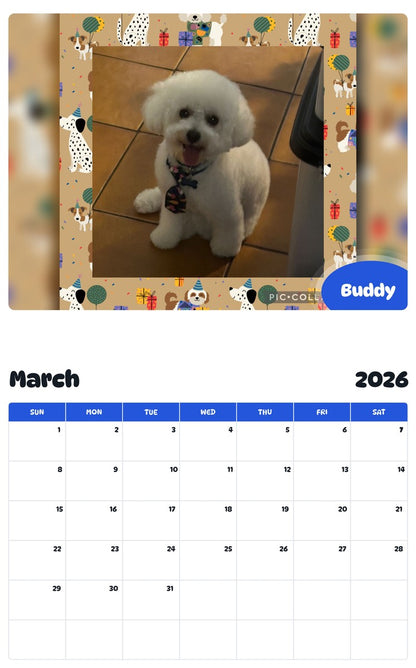 November 2025 - October 2026 Buddy - Pawidols Pet Calendar