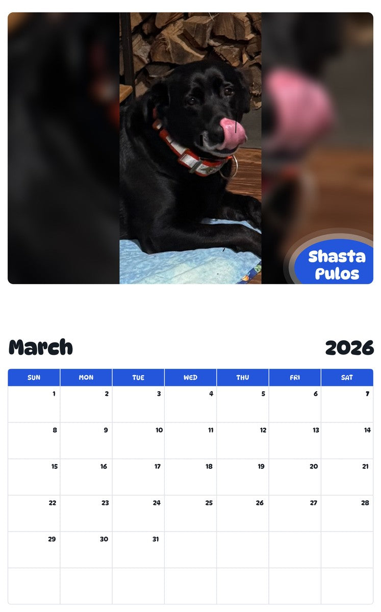 November 2025 - October 2026 Shasta Pulos - Pawidols Pet Calendar