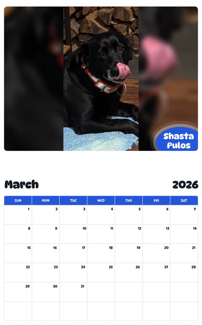 November 2025 - October 2026 Shasta Pulos - Pawidols Pet Calendar