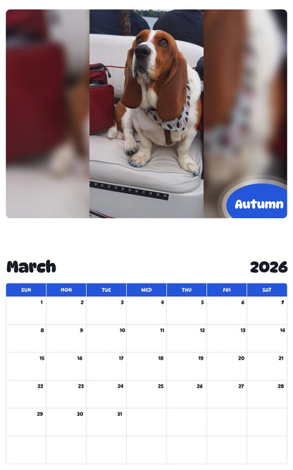 November 2025 - October 2026 Autumn - Pawidols Pet Calendar