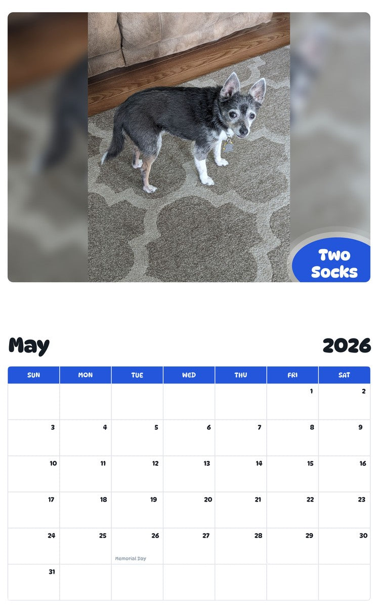 2026 - 2027 Two Socks - Pawidols Pet Calendar
