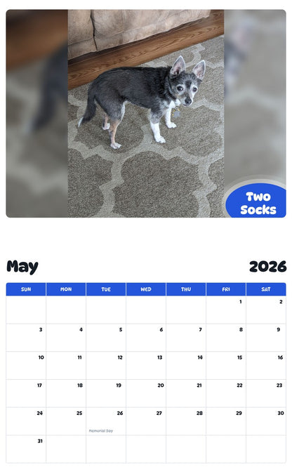 2026 - 2027 Two Socks - Pawidols Pet Calendar