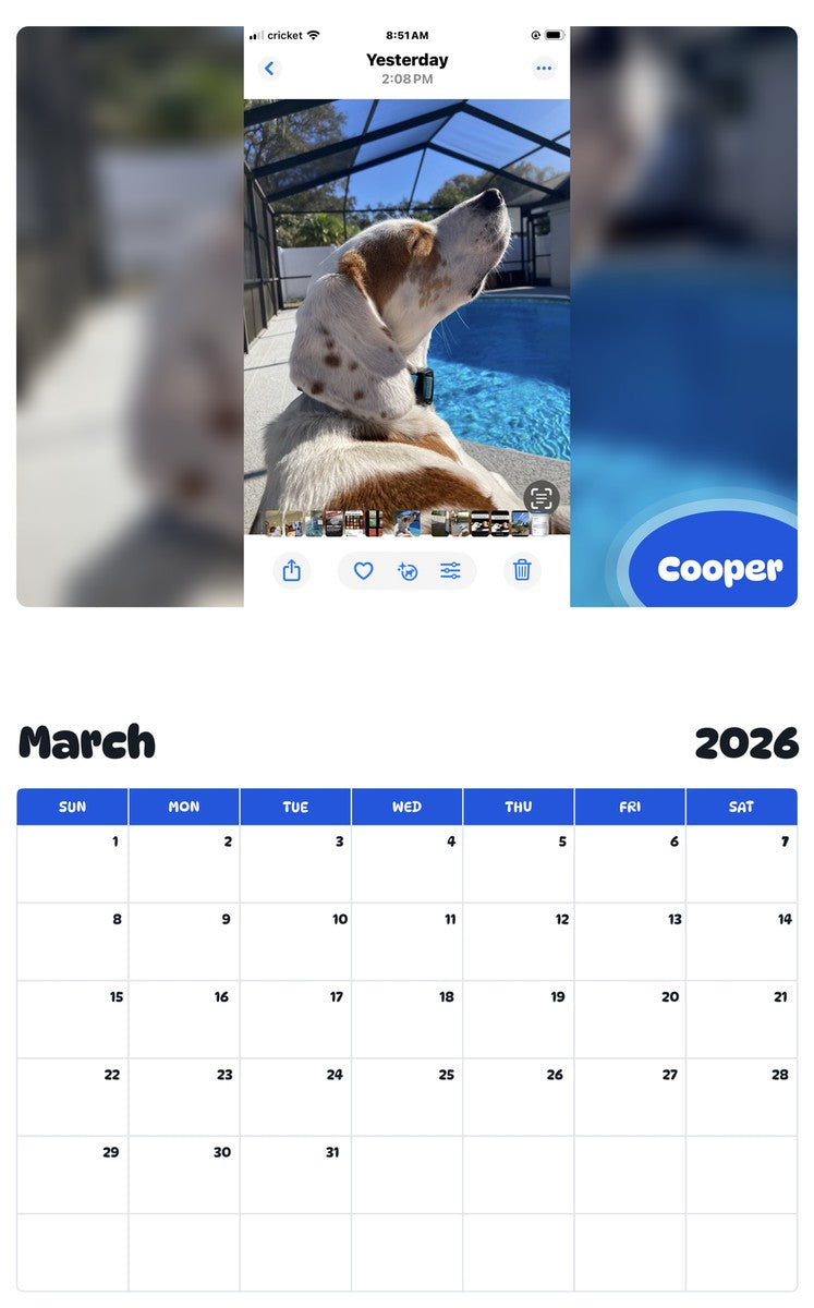 November 2025 - October 2026 Cooper - Pawidols Pet Calendar