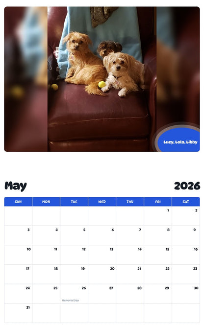2026 - 2027 Lucy, Lola, Libby - Pawidols Pet Calendar