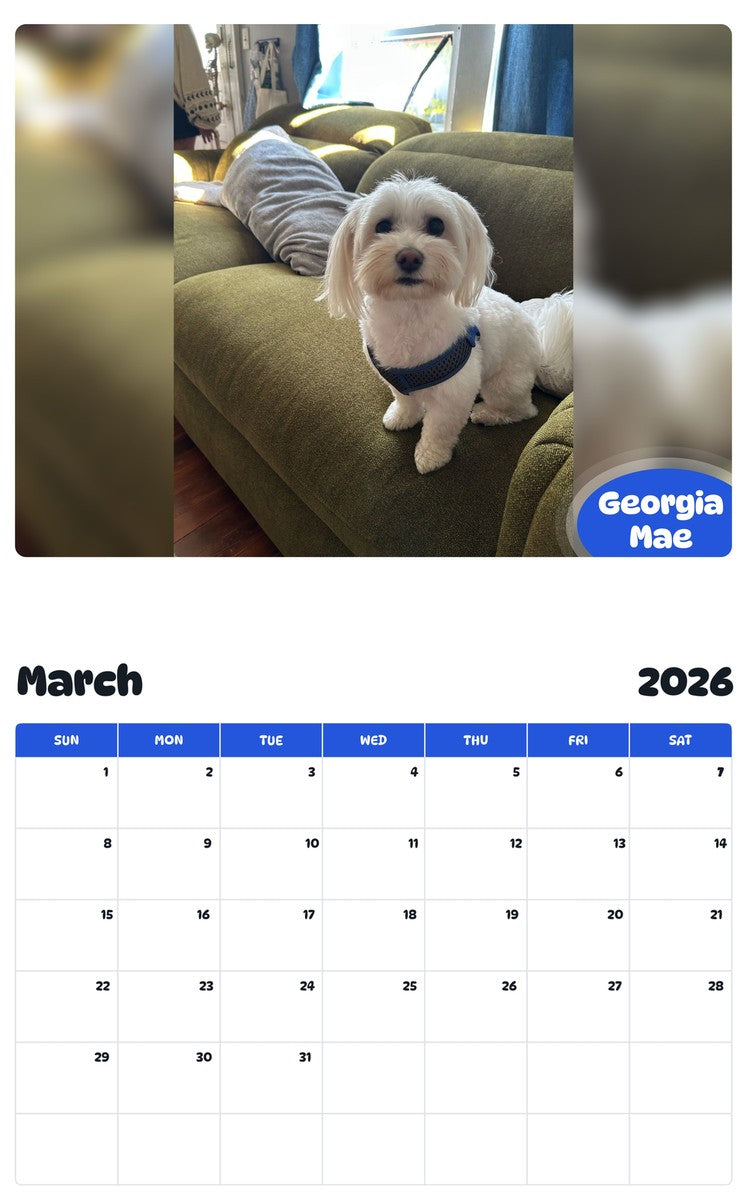 November 2025 - October 2026 Georgia Mae - Pawidols Pet Calendar