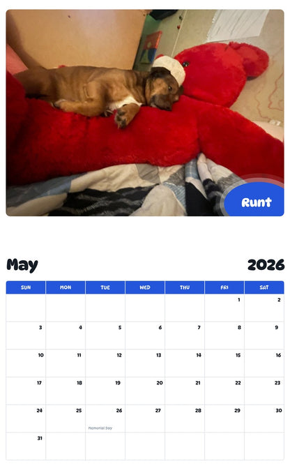 2026 - 2027 Runt - Pawidols Pet Calendar