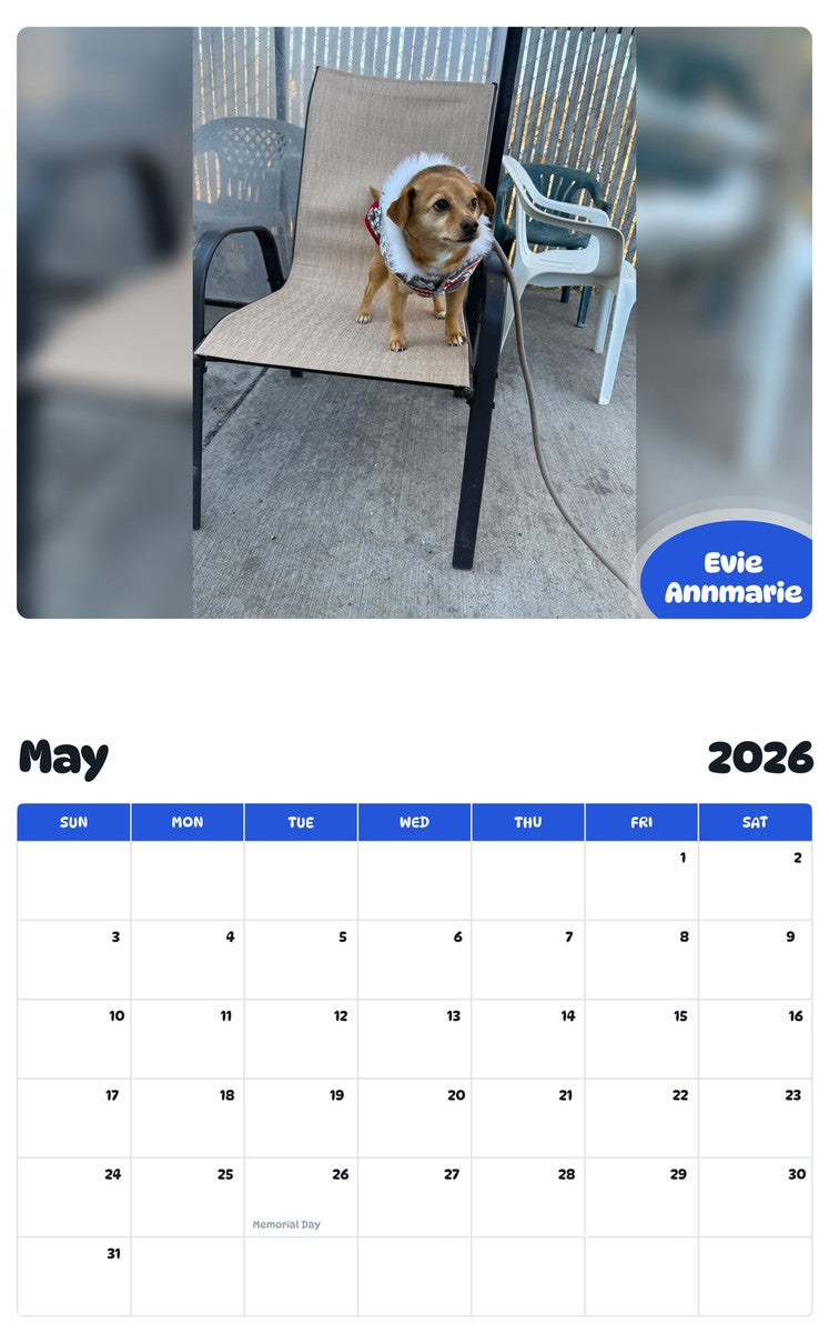 2026 - 2027 Evie Annmarie - Pawidols Pet Calendar