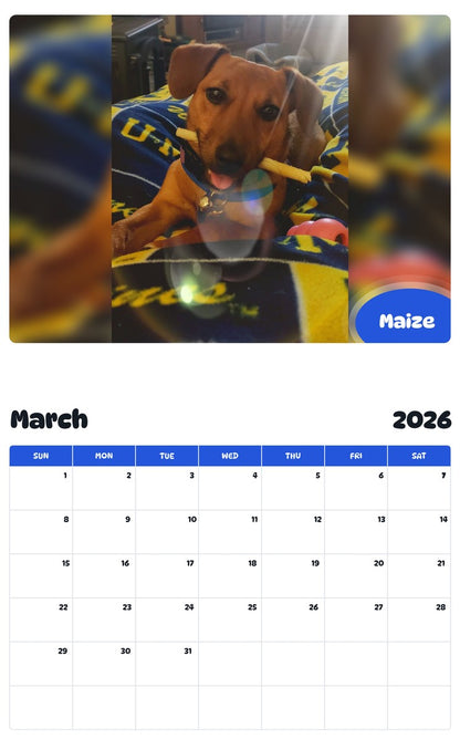 November 2025 - October 2026 Maize - Pawidols Pet Calendar