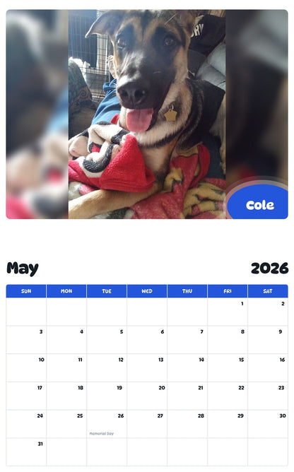 2026 - 2027 Cole - Pawidols Pet Calendar