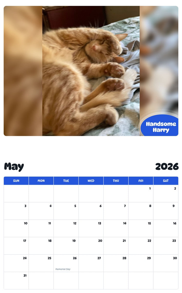 2026 - 2027 Handsome Harry - Pawidols Pet Calendar
