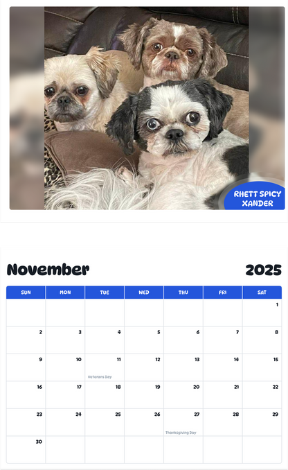 July 2025 - June 2026 Rhett Spicy Xander - Pawidols Pet Calendar
