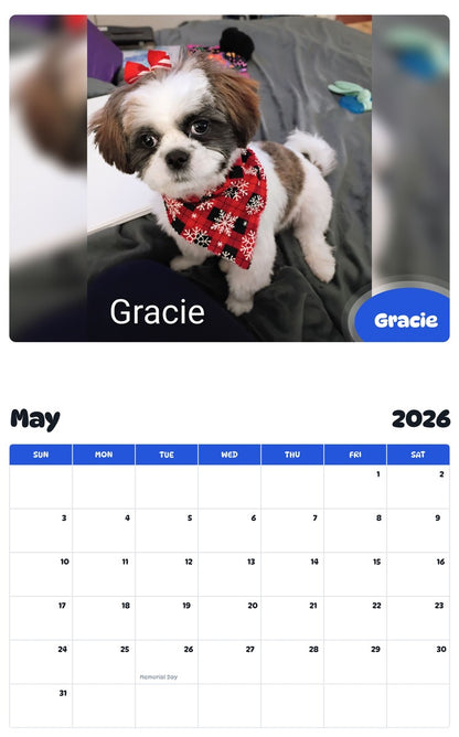 2026 - 2027 Gracie - Pawidols Pet Calendar