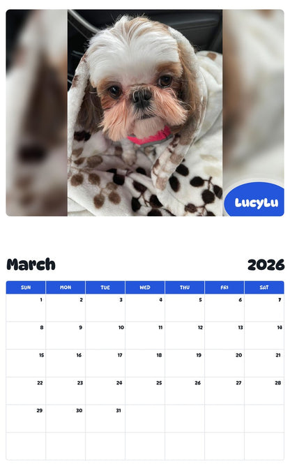 November 2025 - October 2026 LucyLu - Pawidols Pet Calendar