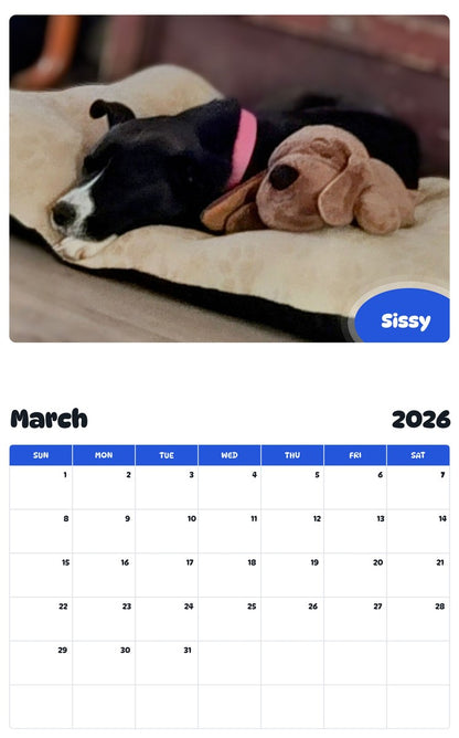 November 2025 - October 2026 Sissy - Pawidols Pet Calendar