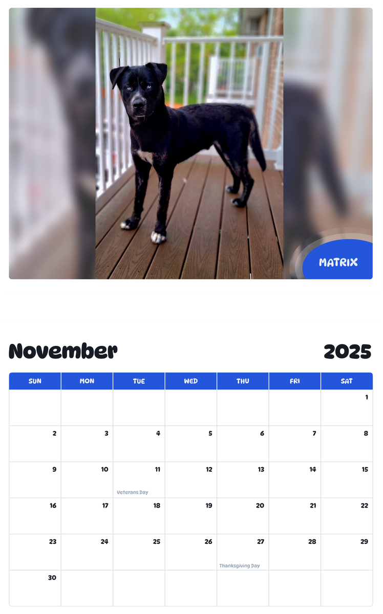 July 2025 - June 2026 Matrix - Pawidols Pet Calendar