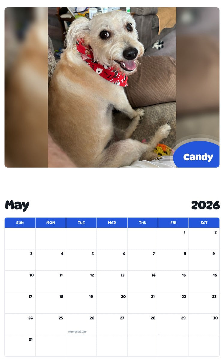 2026 - 2027 Candy - Pawidols Pet Calendar