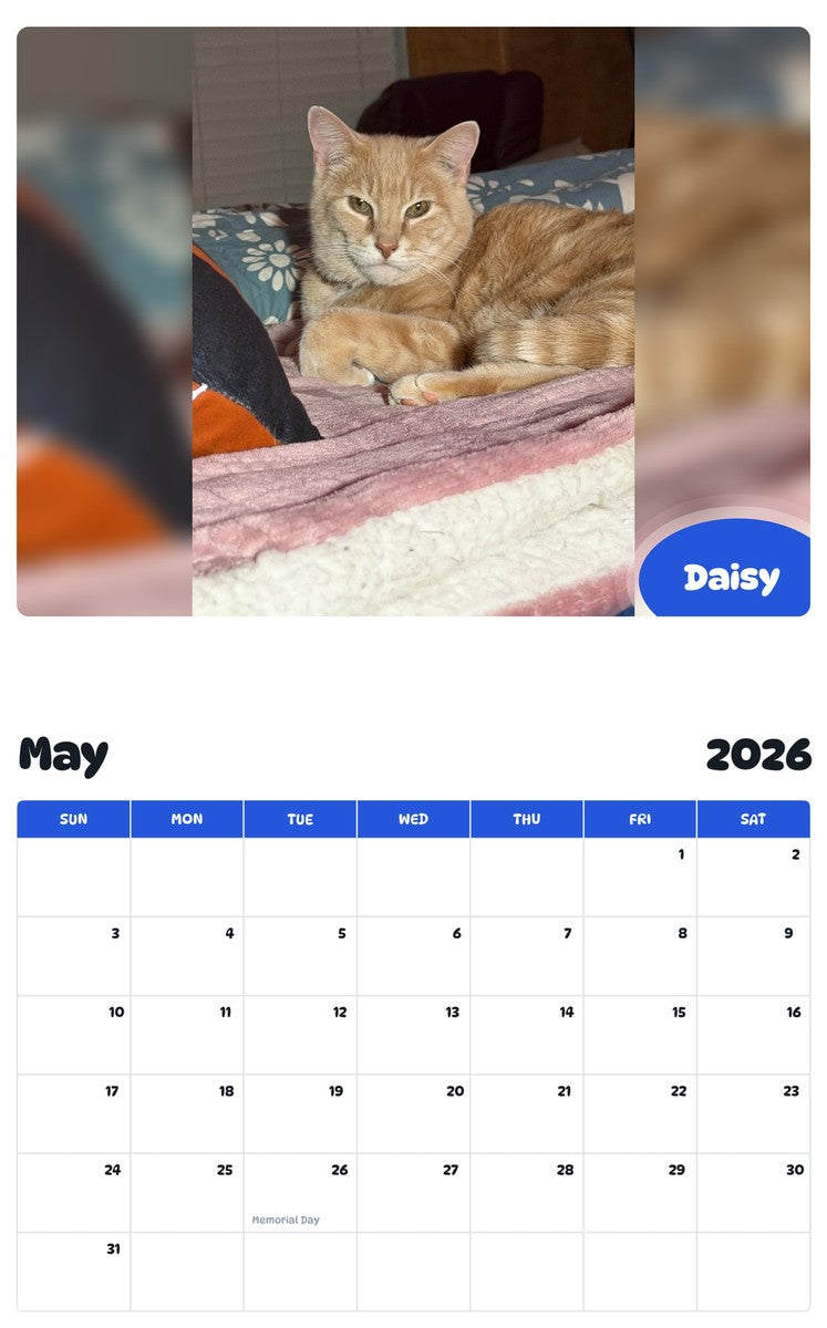 2026 - 2027 Daisy - Pawidols Pet Calendar