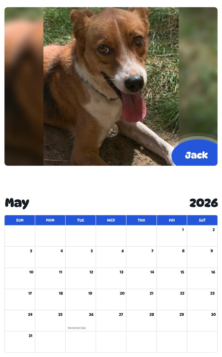 2026 - 2027 Jack - Pawidols Pet Calendar