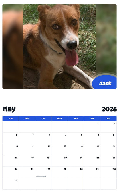 2026 - 2027 Jack - Pawidols Pet Calendar