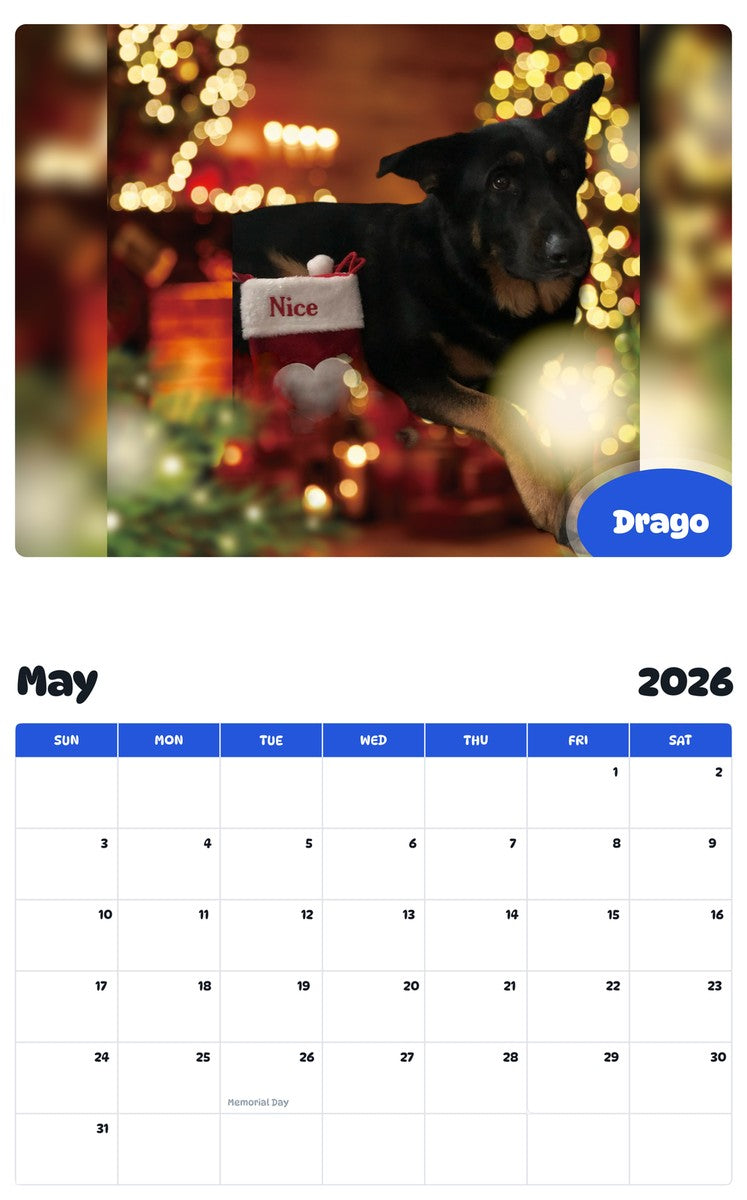 2026 - 2027 Drago - Pawidols Pet Calendar