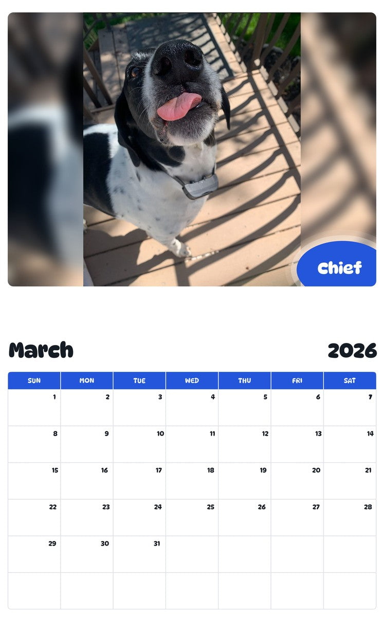 November 2025 - October 2026 Chief - Pawidols Pet Calendar