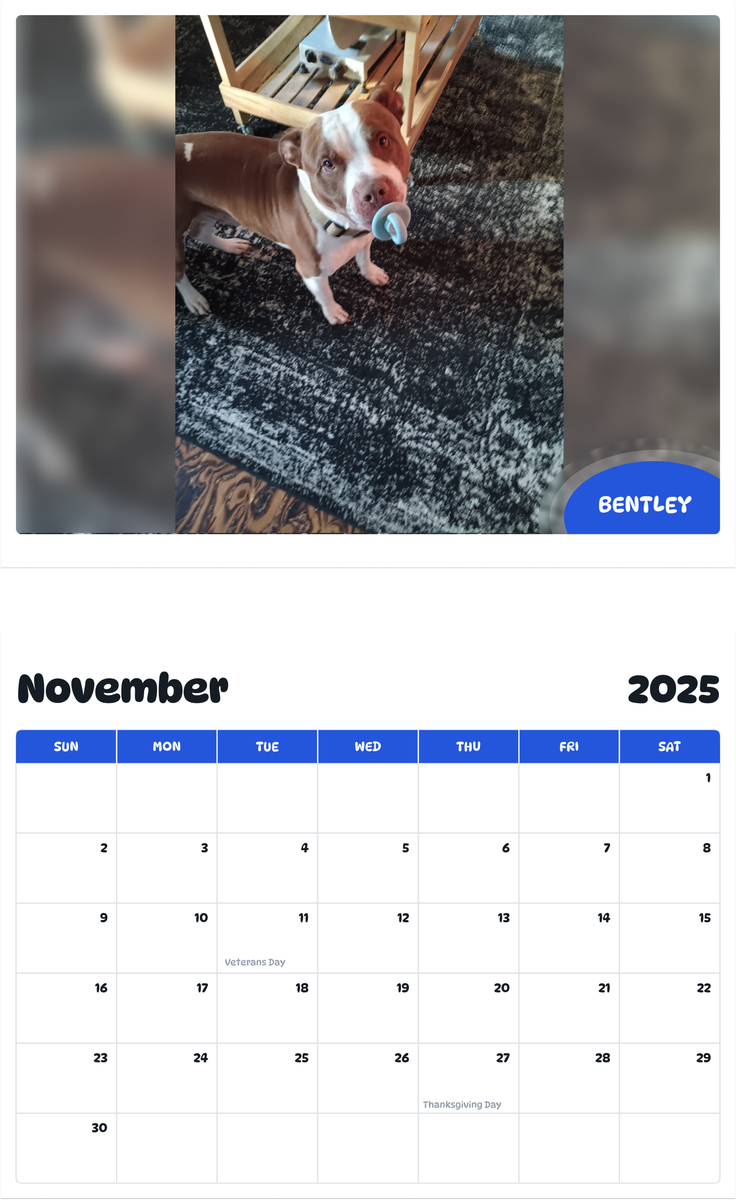 July 2025 - June 2026 Bentley - Pawidols Pet Calendar