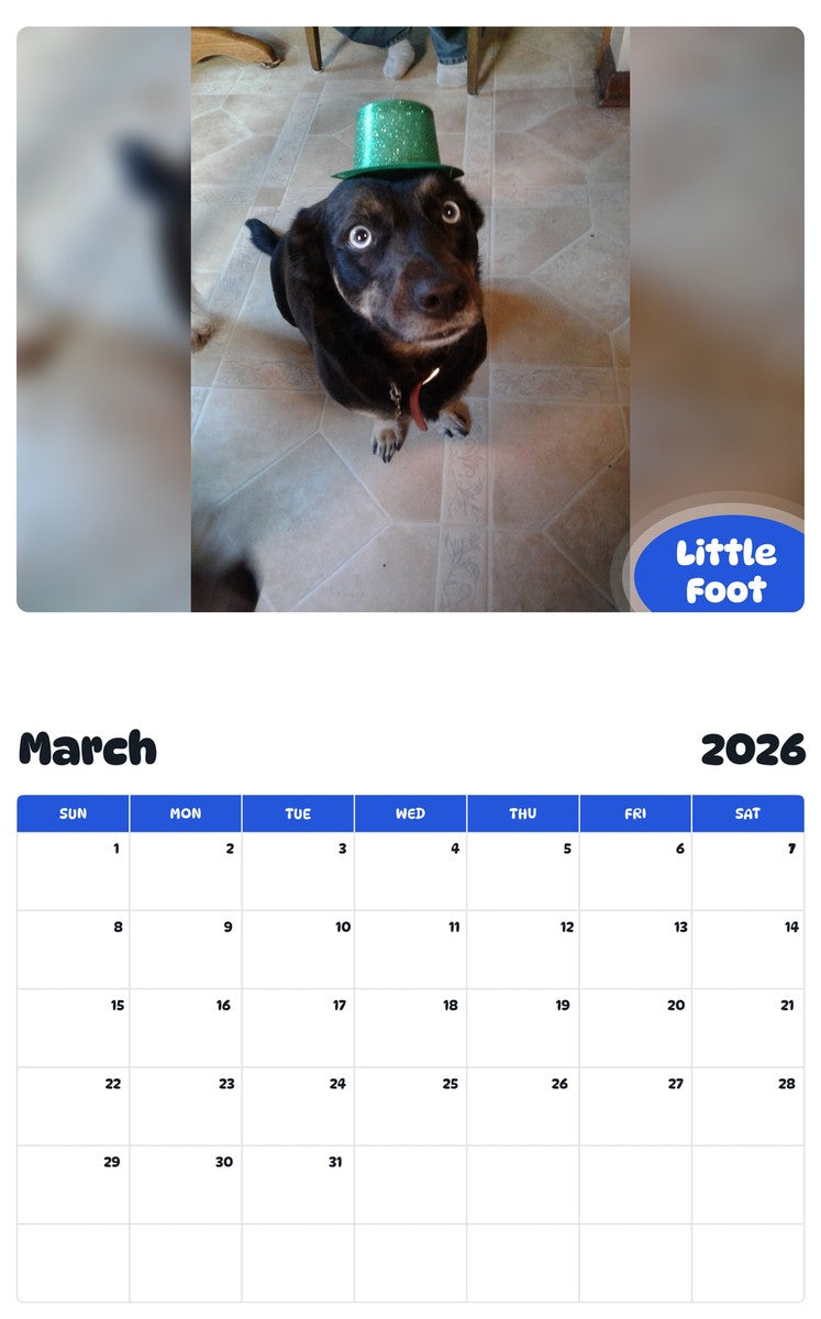 November 2025 - October 2026 Little Foot - Pawidols Pet Calendar