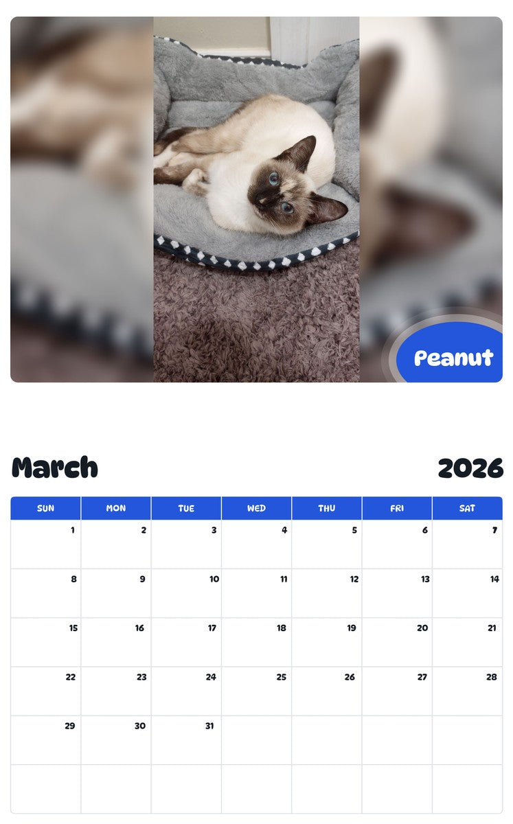 November 2025 - October 2026 Peanut - Pawidols Pet Calendar