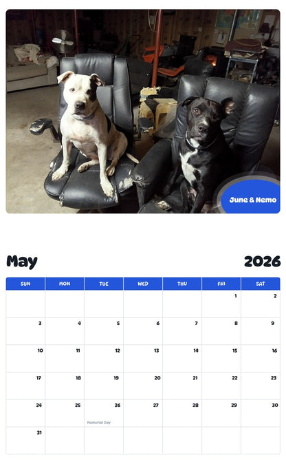 2026 - 2027 June & Nemo - Pawidols Pet Calendar