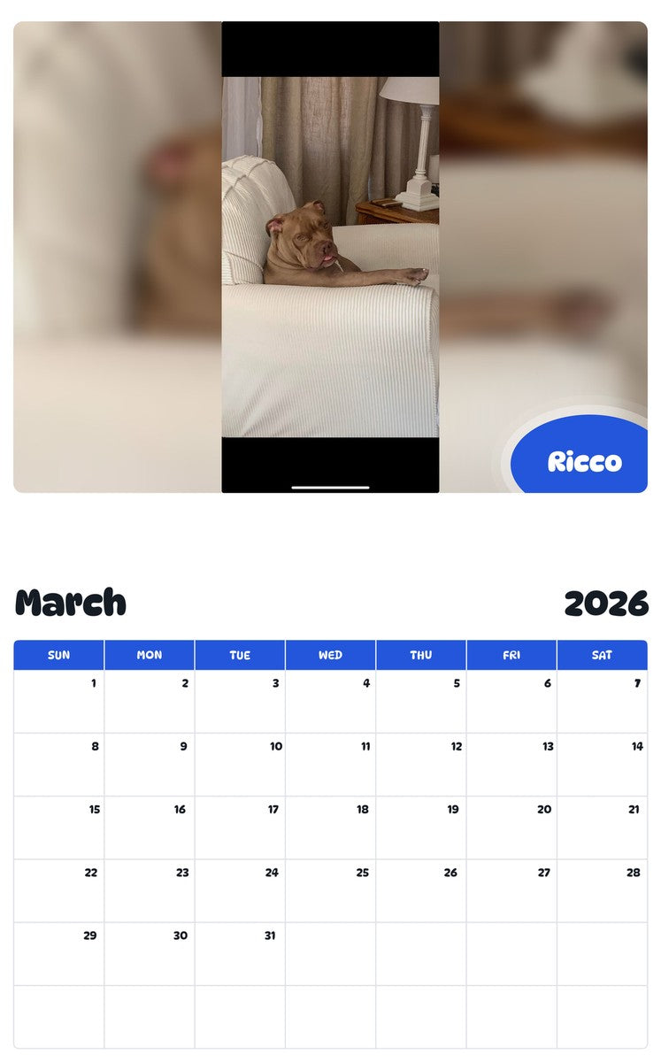 November 2025 - October 2026 Ricco - Pawidols Pet Calendar