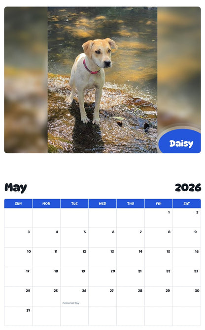 2026 - 2027 Daisy - Pawidols Pet Calendar