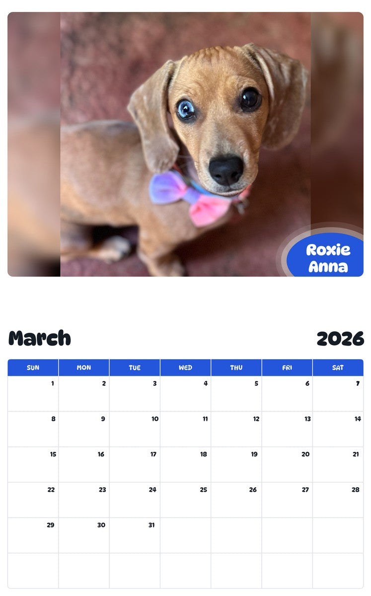 November 2025 - October 2026 Roxie Anna - Pawidols Pet Calendar