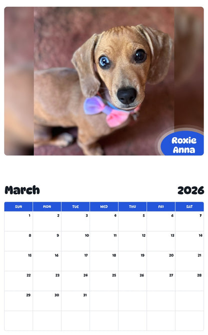 November 2025 - October 2026 Roxie Anna - Pawidols Pet Calendar