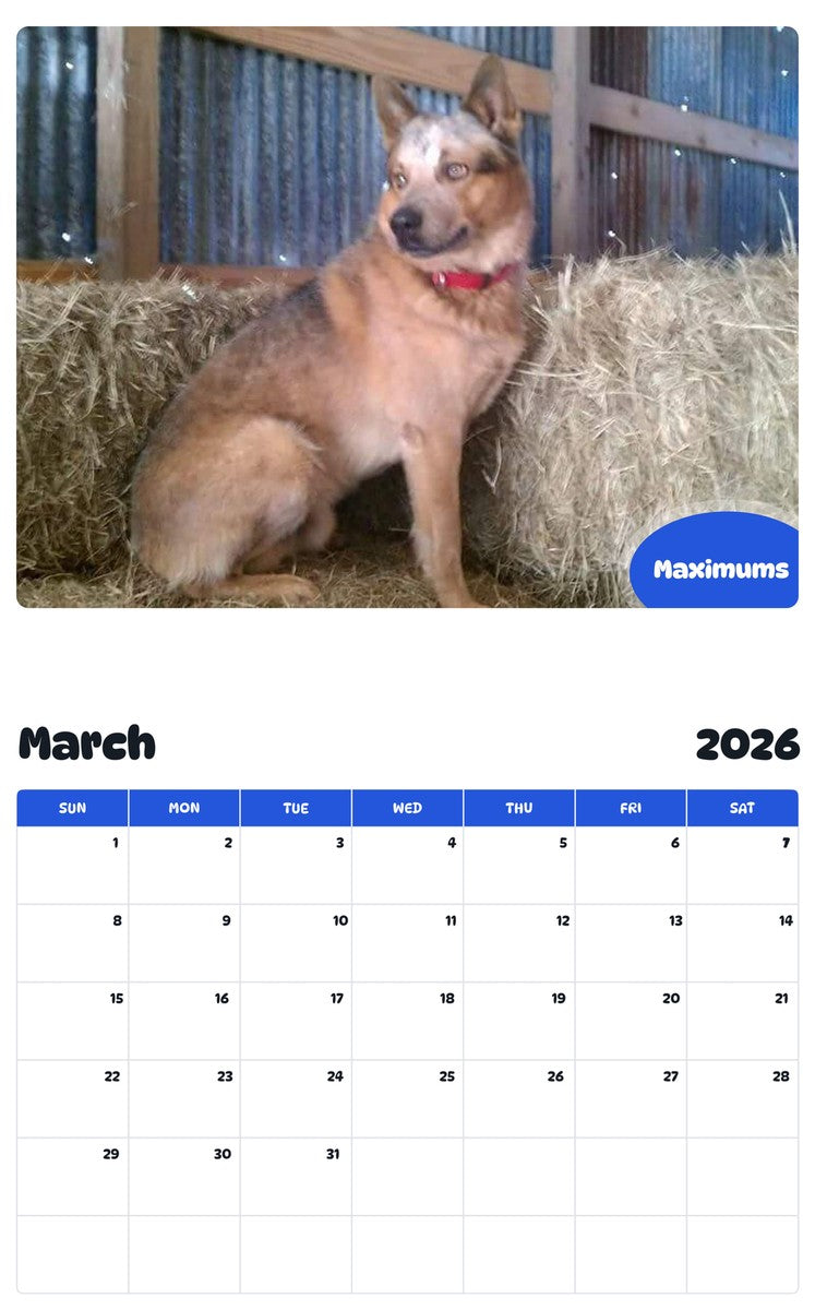 November 2025 - October 2026 Maximums - Pawidols Pet Calendar