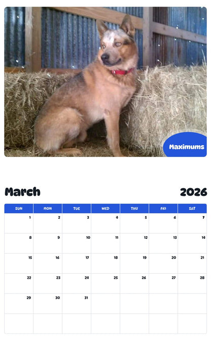 November 2025 - October 2026 Maximums - Pawidols Pet Calendar