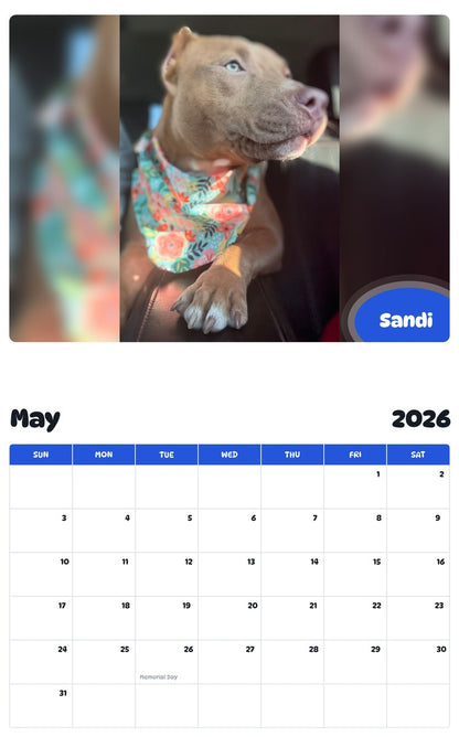 2026 - 2027 Sandi - Pawidols Pet Calendar