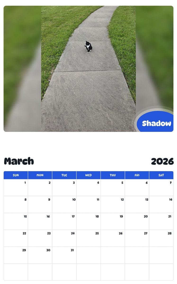 November 2025 - October 2026 Shadow - Pawidols Pet Calendar
