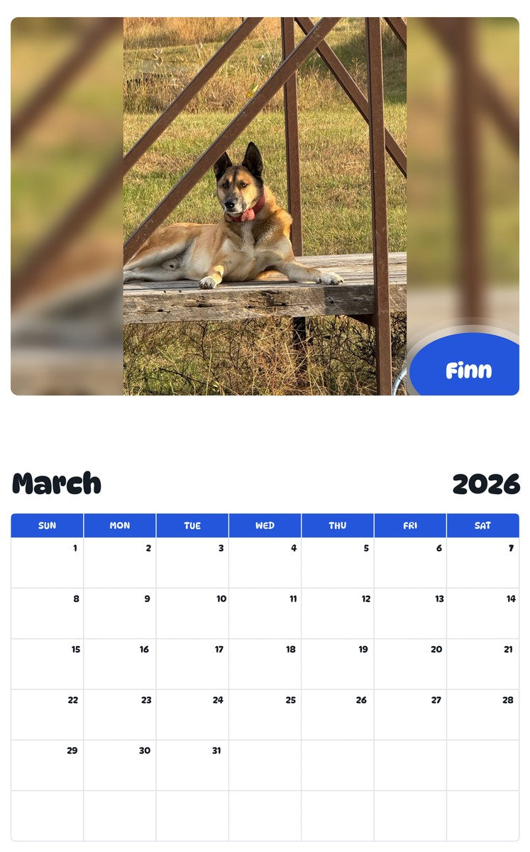 November 2025 - October 2026 Finn - Pawidols Pet Calendar