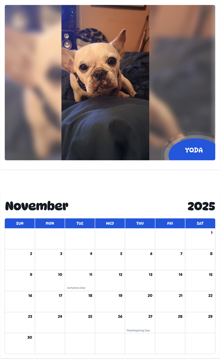 July 2025 - June 2026 Yoda - Pawidols Pet Calendar