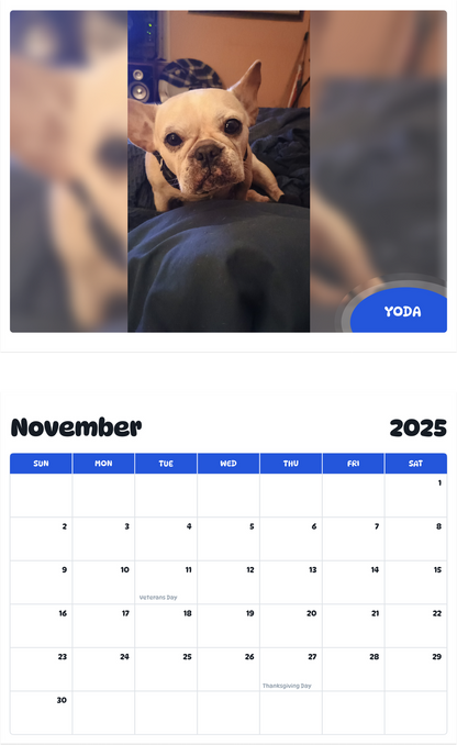 July 2025 - June 2026 Yoda - Pawidols Pet Calendar