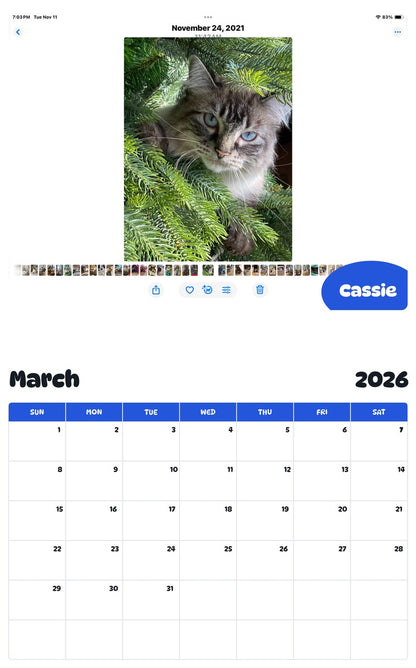November 2025 - October 2026 Cassie - Pawidols Pet Calendar
