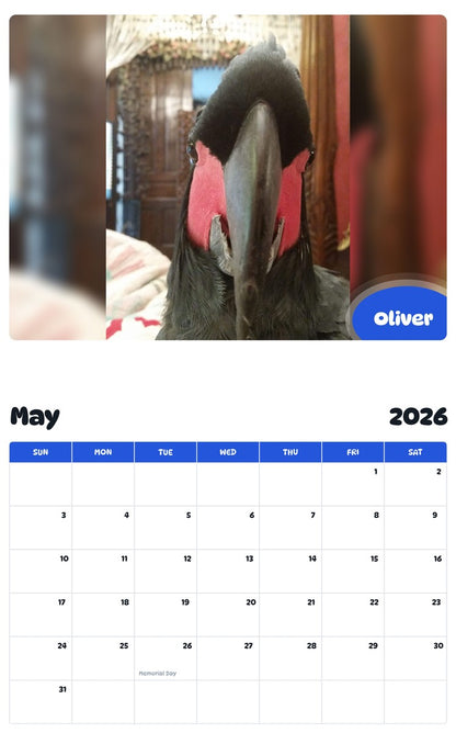 2026 - 2027 Oliver - Pawidols Pet Calendar