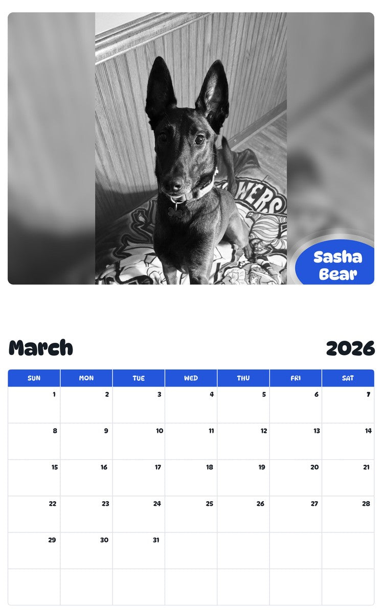 November 2025 - October 2026 Sasha Bear - Pawidols Pet Calendar