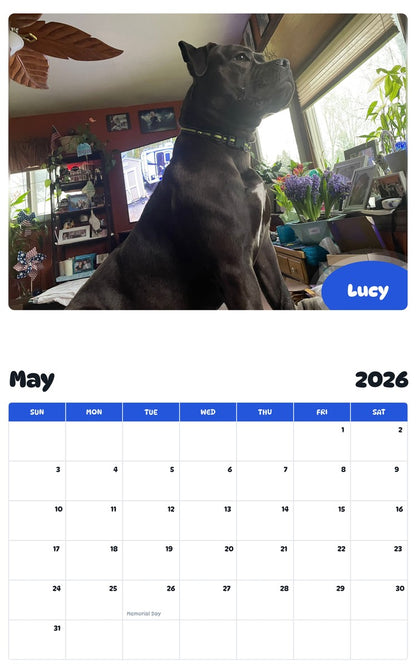 2026 - 2027 Lucy - Pawidols Pet Calendar