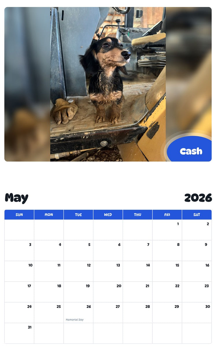 2026 - 2027 Cash - Pawidols Pet Calendar