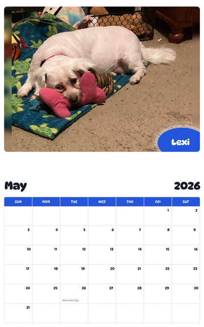 2026 - 2027 Lexi - Pawidols Pet Calendar