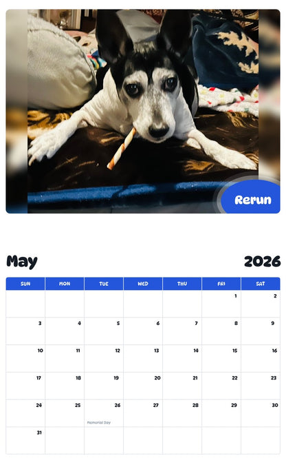 2026 - 2027 Rerun - Pawidols Pet Calendar