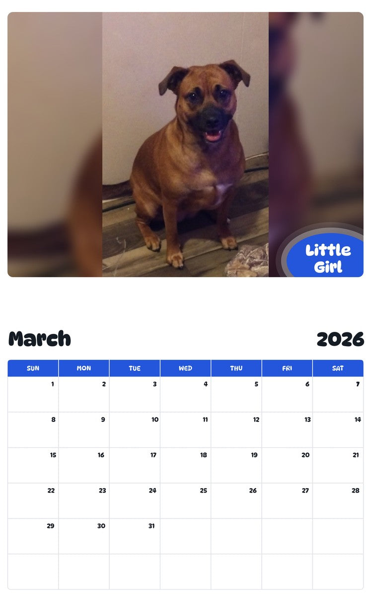 November 2025 - October 2026 Little Girl - Pawidols Pet Calendar