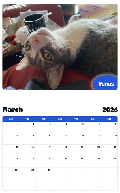November 2025 - October 2026 Venus - Pawidols Pet Calendar